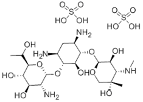 Geneticin CAS 108321-42-2