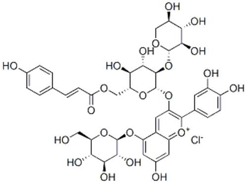 1-Benzopyrylium, 2-(3,4-dihydroxyphenyl)-5-(beta-D-glucopyranosyloxy)- 7-hydroxy-3-((6-O-((2E)-3-(4-hydroxyphenyl)-1-oxo-2-propenyl)-2-O-beta -D-xylopyranosyl-beta-D-glucopyranosyl)oxy)-, chloride CAS 139906-05-1