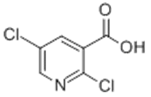 2,5-Dichloronicotinic acid CAS 59782-85-3