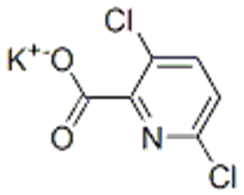 2-Pyridinecarboxylicacid, 3,6-dichloro-, potassium salt (1:1) CAS 58509-83-4