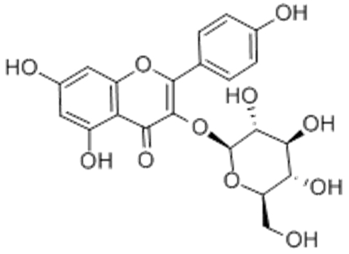 ASTRAGALIN CAS 480-10-4