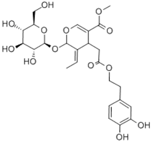 Oleuropein CAS 32619-42-4