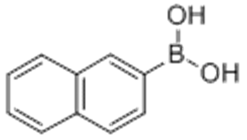 2-Naphthaleneboronic acid CAS 32316-92-0