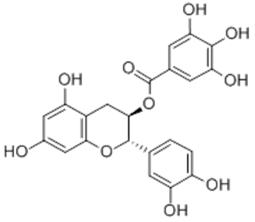 (-)-CATECHIN GALLATE CAS 130405-40-2