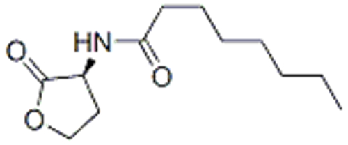 Octanamide, N-[(3S)-tetrahydro-2-oxo-3-furanyl]- CAS 147852-84-4