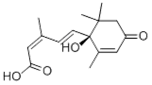 Abscisic acid CAS 14375-45-2