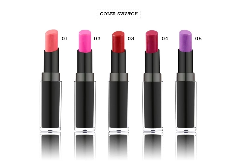 Private Label Bright Waterproof Nude Velvet Lipstick Set